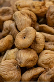 انجیر