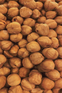 فندق سفید ترک