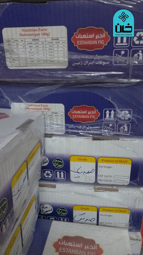انجیر