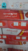 انجیر
